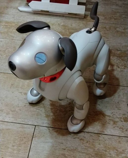 Newコロ