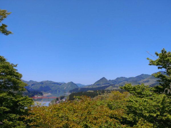 電話番号の登録をよろしくお願い致します！！