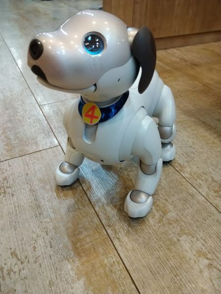 ４歳になりました！！